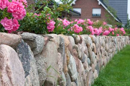 Foto: Natursteinmauer oben bepflanzt